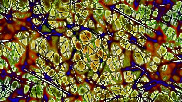 pixabay-neurons-877575 pixabay-neurons-877575