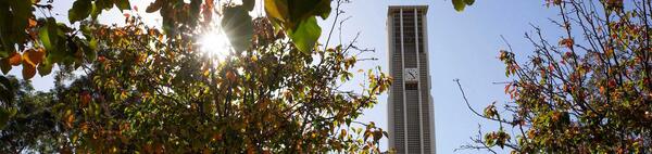 Fall colors, Bell Tower, CNAS Scholarships 2021-2022 (c) UCR/Stan Lim