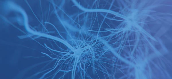 synapses (c) iStock