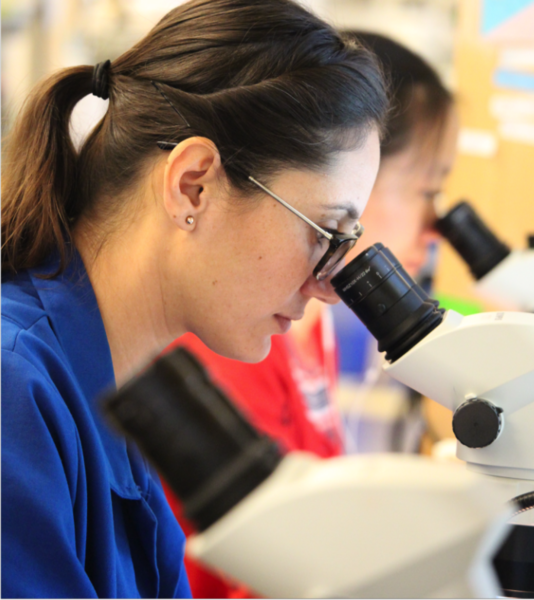 Researchers